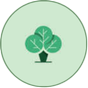 Logo Harmonia Natural